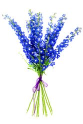 Букет «Дельфиниум» Букет «Дельфиниум»