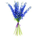 Голубизна моря в букете из дельфиниума. - Фотография 3