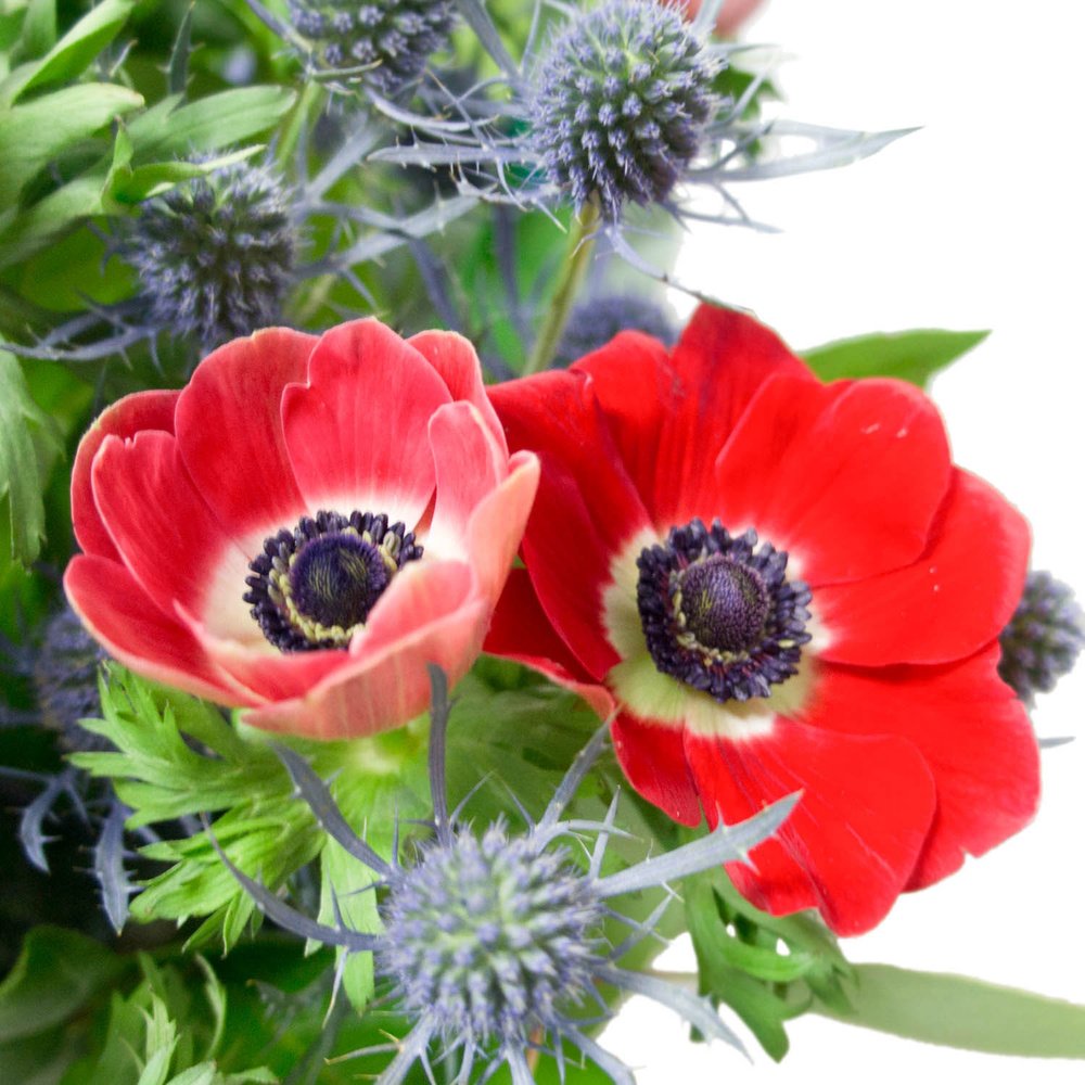 Мисс Паркер