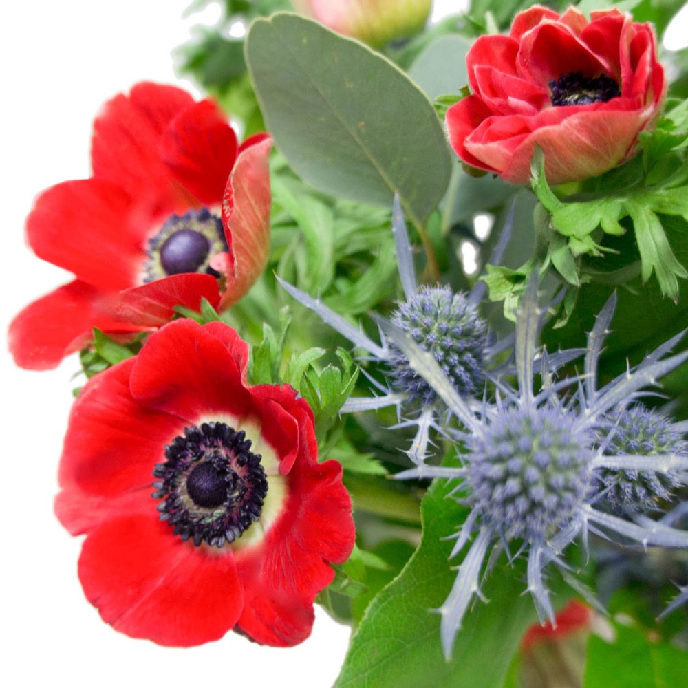 Мисс Паркер