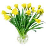 Букет нарциссов в Санкт-Петербурге - Фотография 5