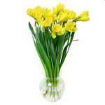 Букет нарциссов в Санкт-Петербурге - Фотография 3