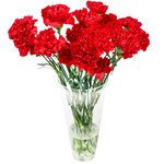 Букет из красных гвоздик в Санкт-Петербурге - Фотография 1