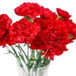 Букет из красных гвоздик в Санкт-Петербурге - Фотография 4