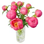 Букет коралловые пионы в Санкт-Петербурге - Фотография 1