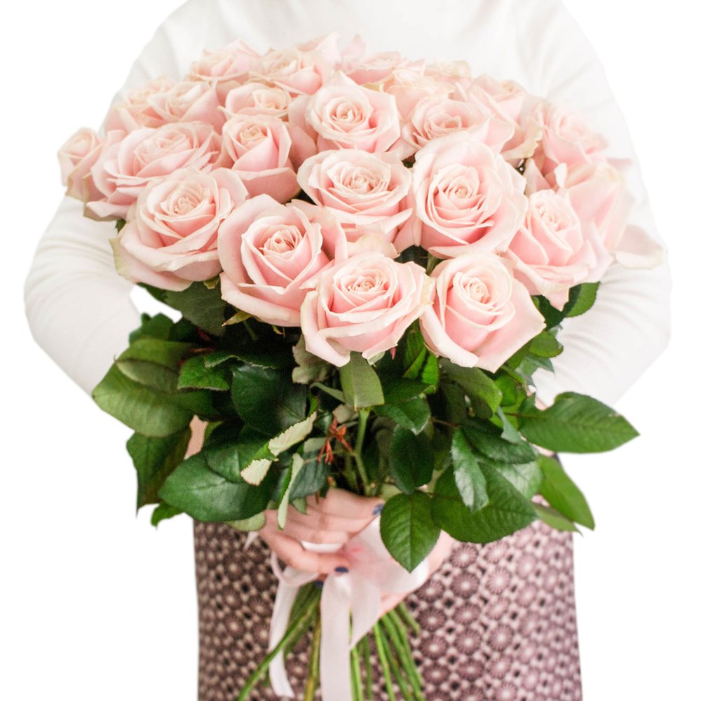 Роза Аваланш Свит 60 см