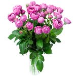 Букет с розами Мисти Бабблз в Санкт-Петербурге - Фотография 1