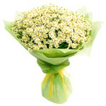 Букет из ромашек в Санкт-Петербурге - Фотография 1