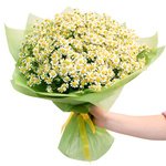 Букет из ромашек в Санкт-Петербурге - Фотография 3
