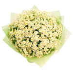 Букет из ромашек в Санкт-Петербурге - Фотография 4