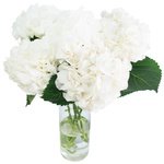 Букет белая гортензия в Санкт-Петербурге - Фотография 1