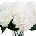 Букет белая гортензия в Санкт-Петербурге - Фотография 5