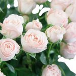 Букет из кустовых пионовидных роз Бомбастик в Санкт-Петербурге - Фотография 6