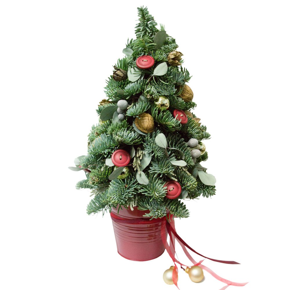 Ёлочка из живых еловых веток с различными украшениями.