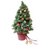 Ёлочка из живых еловых веток с различными украшениями. - Фотография 1