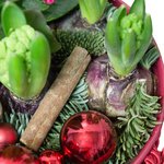 Новогодняя композиция из гиацинтов, каланхоэ, суккулента и блестящих шариков в Санкт-Петербурге - Фотография 4 Новогодняя композиция из гиацинтов, каланхоэ, суккулента и блестящих шариков в Санкт-Петербурге - Фотография 4