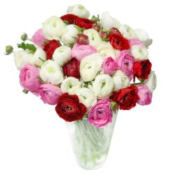 Букет « Разноцветные ранункулюсы»