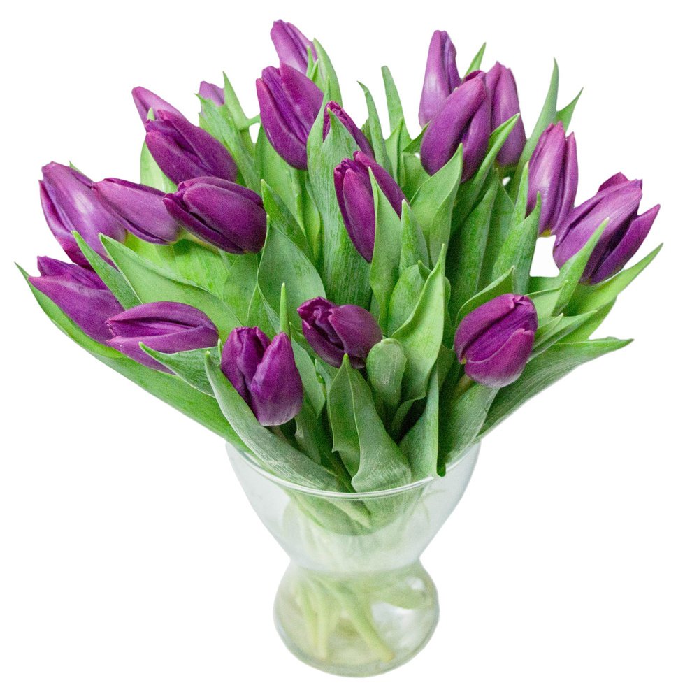 Фиолетовые тюльпаны купить. Тюльпан сиреневый. Фиолетовые тюльпаны букет. Тюльпан фиолетовый. Букет из фиолетовых тюльпанов.