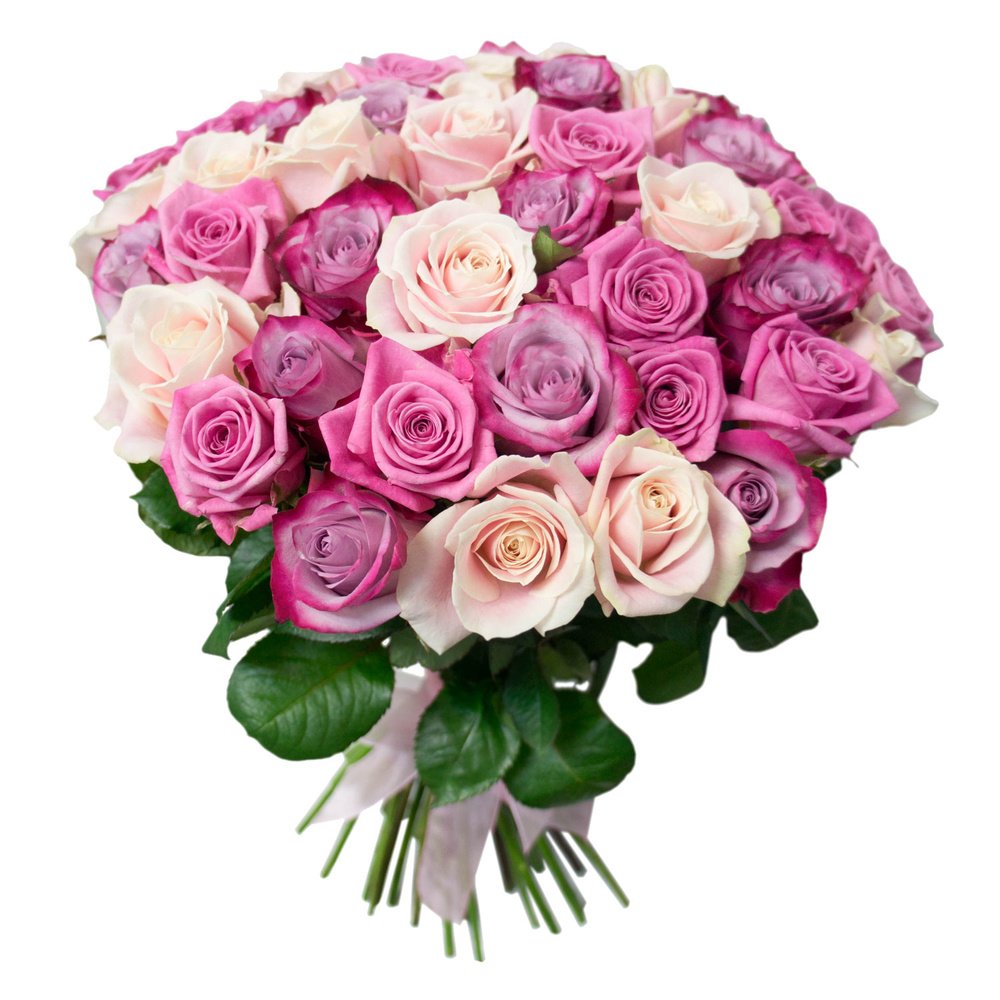 розовые и фиолетовые цветы
