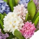 Букет из гиацинтов в Санкт-Петербурге - Фотография 2