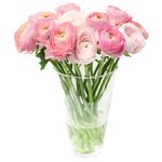 Букет розовых ранункулюсов в Санкт-Петербурге - Фотография 1