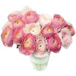 Букет розовых ранункулюсов в Санкт-Петербурге - Фотография 2