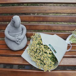 Букет «Ромашки и Ждун» Букет «Ромашки и Ждун»