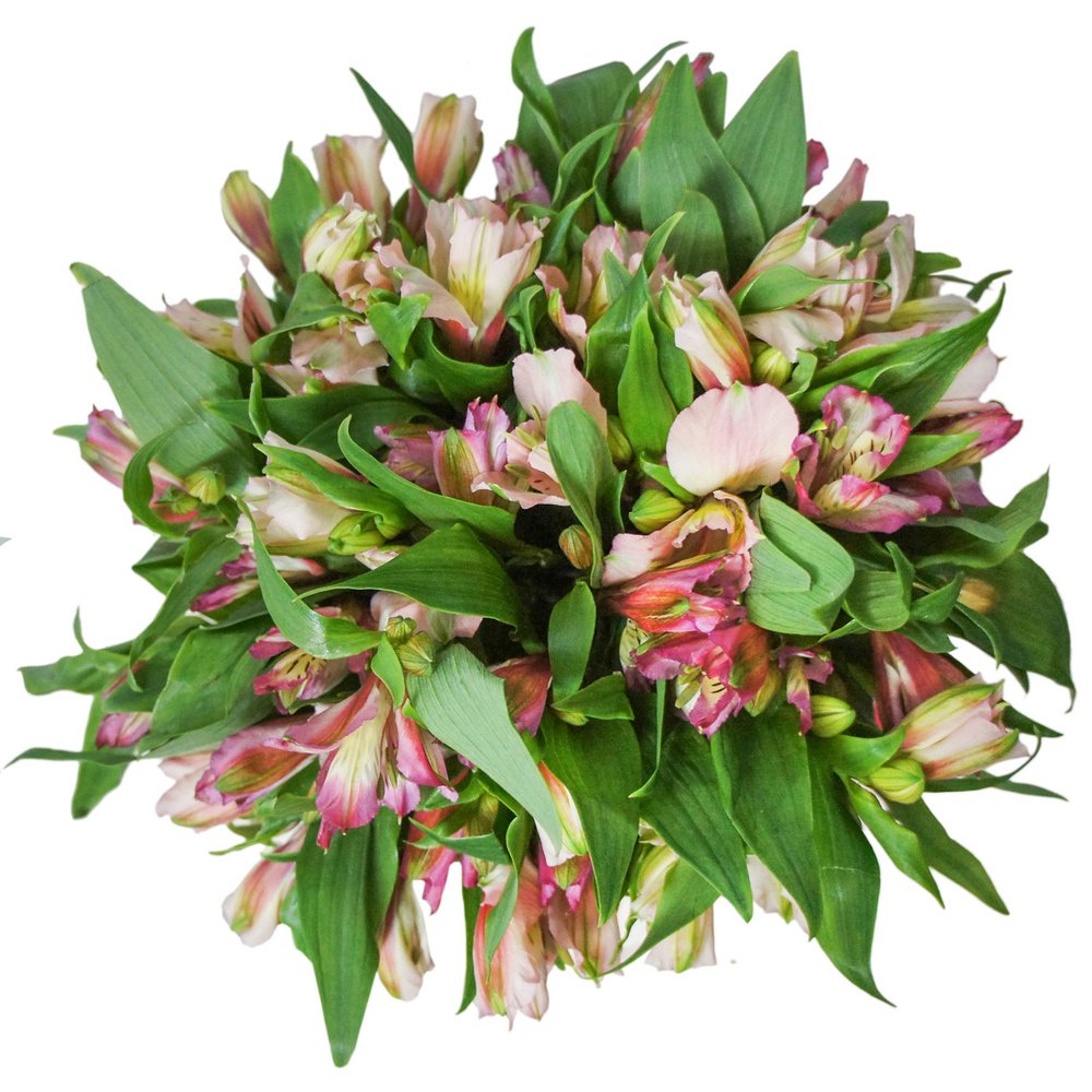 Принцесса Анна: альстромерии в шляпной коробке