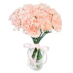 Букет из персиковых гвоздик в Санкт-Петербурге - Фотография 1