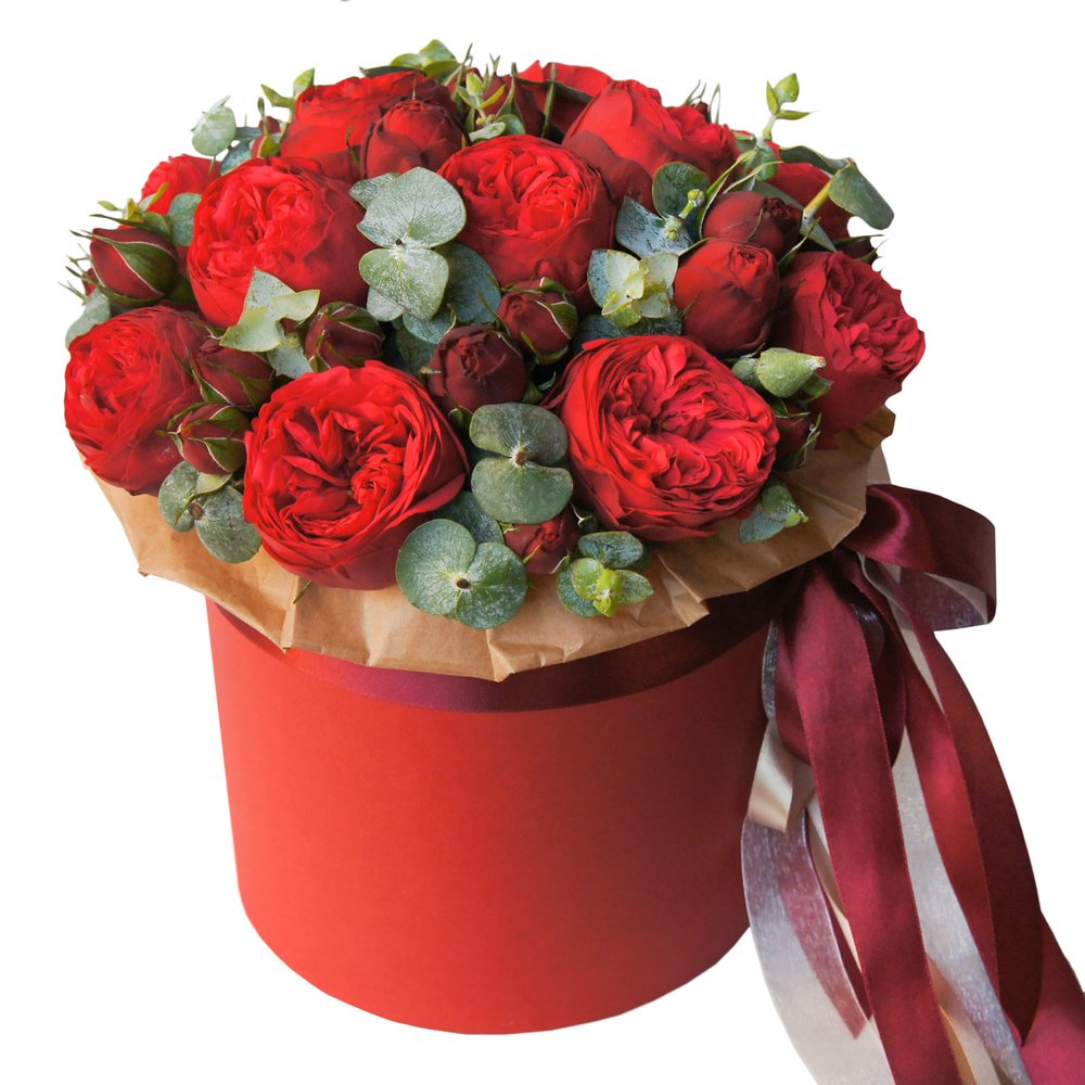 Заказать подарок цветы. Букет красных пионовидных роз. Ред пиано пионовидные розы букет. Букет красных роз в шляпной коробке. Оригинальные букеты в коробках.