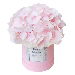 Букет в шляпной коробке Помпон розовый Букет в шляпной коробке Помпон розовый