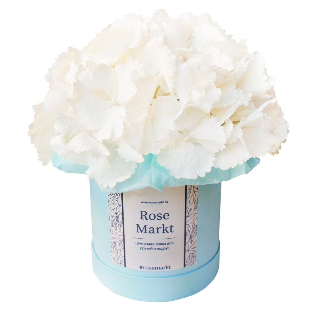 Белая гортензия в шляпной коробке в Санкт-Петербурге Белая гортензия в шляпной коробке в Санкт-Петербурге