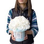 Белая гортензия в шляпной коробке в Санкт-Петербурге - Фотография 3 Белая гортензия в шляпной коробке в Санкт-Петербурге - Фотография 3