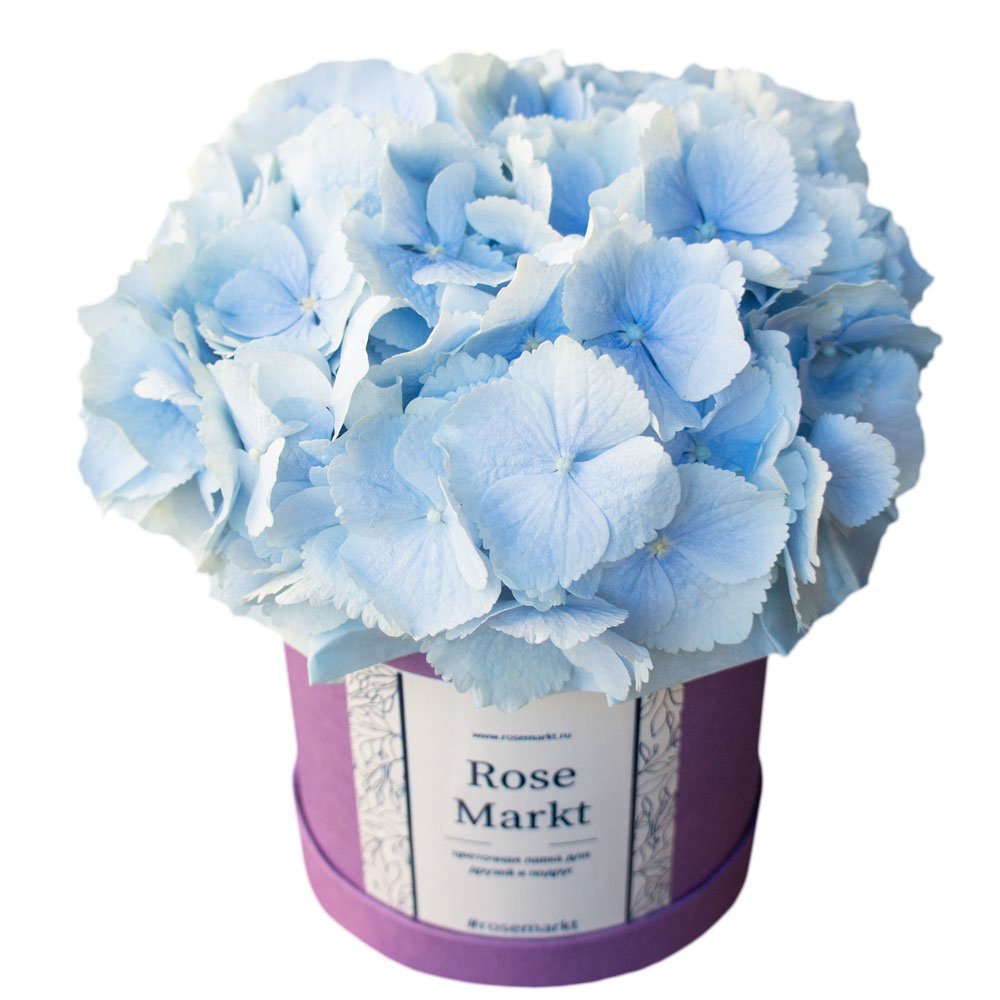 Голубая гортензия в шляпной коробке в Санкт-Петербурге