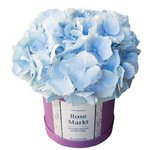 Голубая гортензия в шляпной коробке в Санкт-Петербурге - Фотография 1