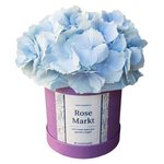 Голубая гортензия в шляпной коробке в Санкт-Петербурге - Фотография 2