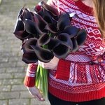 Букет из чёрных калл в Санкт-Петербурге - Фотография 1
