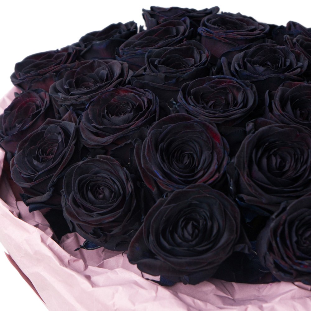 Где купить черные розы. Букет чёрных роз. Черные розы букет. Красивый букет черных роз.
