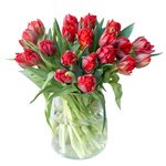 Букет из тюльпанов красных пионовидных в Санкт-Петербурге - Фотография 4