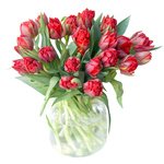 Букет из тюльпанов красных пионовидных в Санкт-Петербурге - Фотография 1
