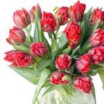Букет из тюльпанов красных пионовидных в Санкт-Петербурге - Фотография 2