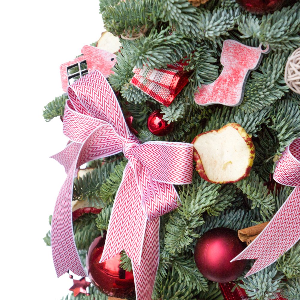 Ёлочка красная