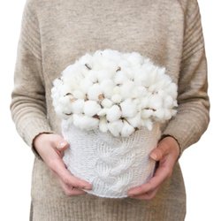 Букет «Белый и пушистый» Букет «Белый и пушистый»