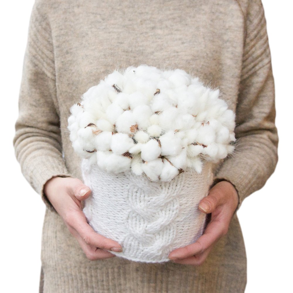 Хлопок и лагурус в шляпной коробки со свитерком ручной вязки в Санкт-Петербурге