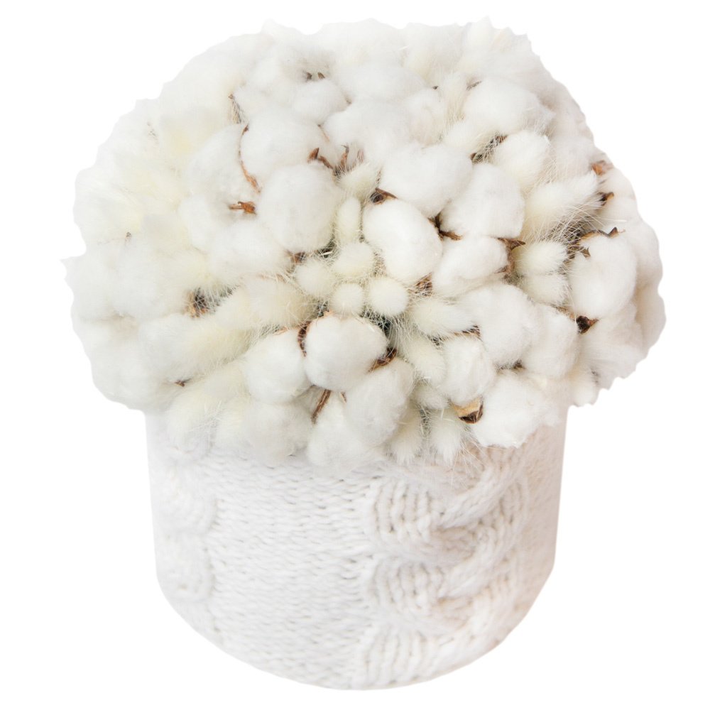 Белый и пушистый