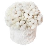 Хлопок и лагурус в шляпной коробки со свитерком ручной вязки в Санкт-Петербурге - Фотография 3