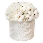 Хлопок и лагурус в шляпной коробки со свитерком ручной вязки в Санкт-Петербурге - Фотография 2