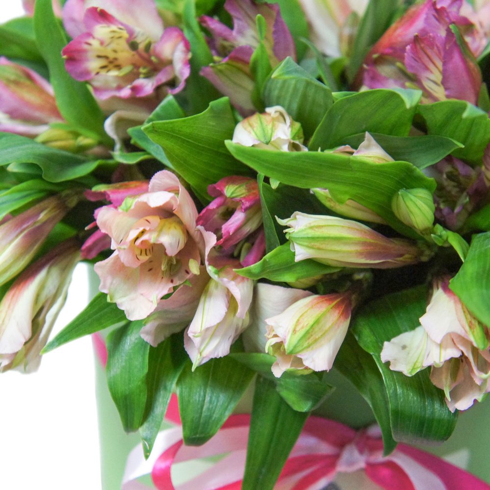 Принцесса Анна: альстромерии в шляпной коробке