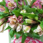 Шляпная коробка с розовой альстромерией в Санкт-Петербурге - Фотография 4