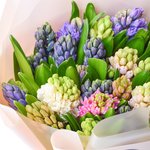 Букет из 25 разноцветных гиацинтов в оригинальной упаковке в Санкт-Петербурге - Фотография 4
